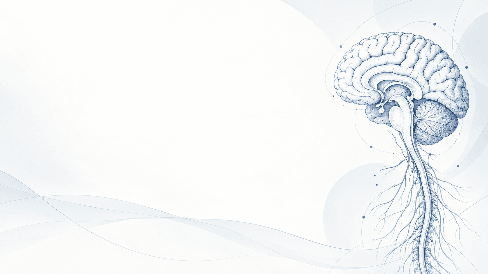 Representación médica del cerebro y conexiones neuronales